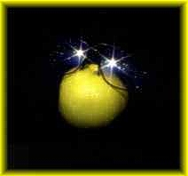 1981: Brille der Muse